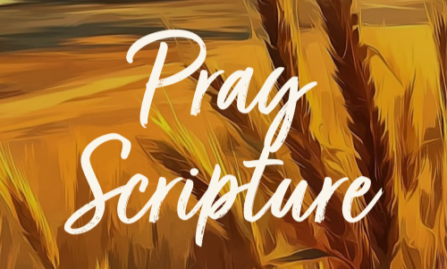 Pray Scripture